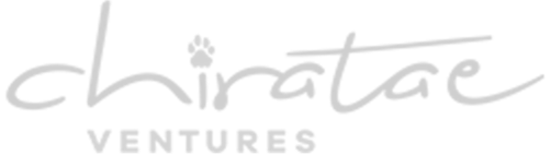 chirate-ventures-gray